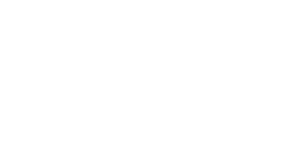Fynbird.io Logo